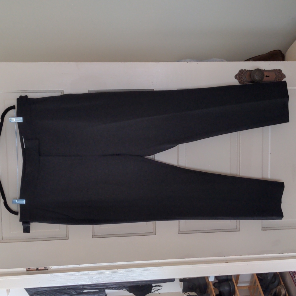 NWOT Everybody & Everyone dress pants Size 16